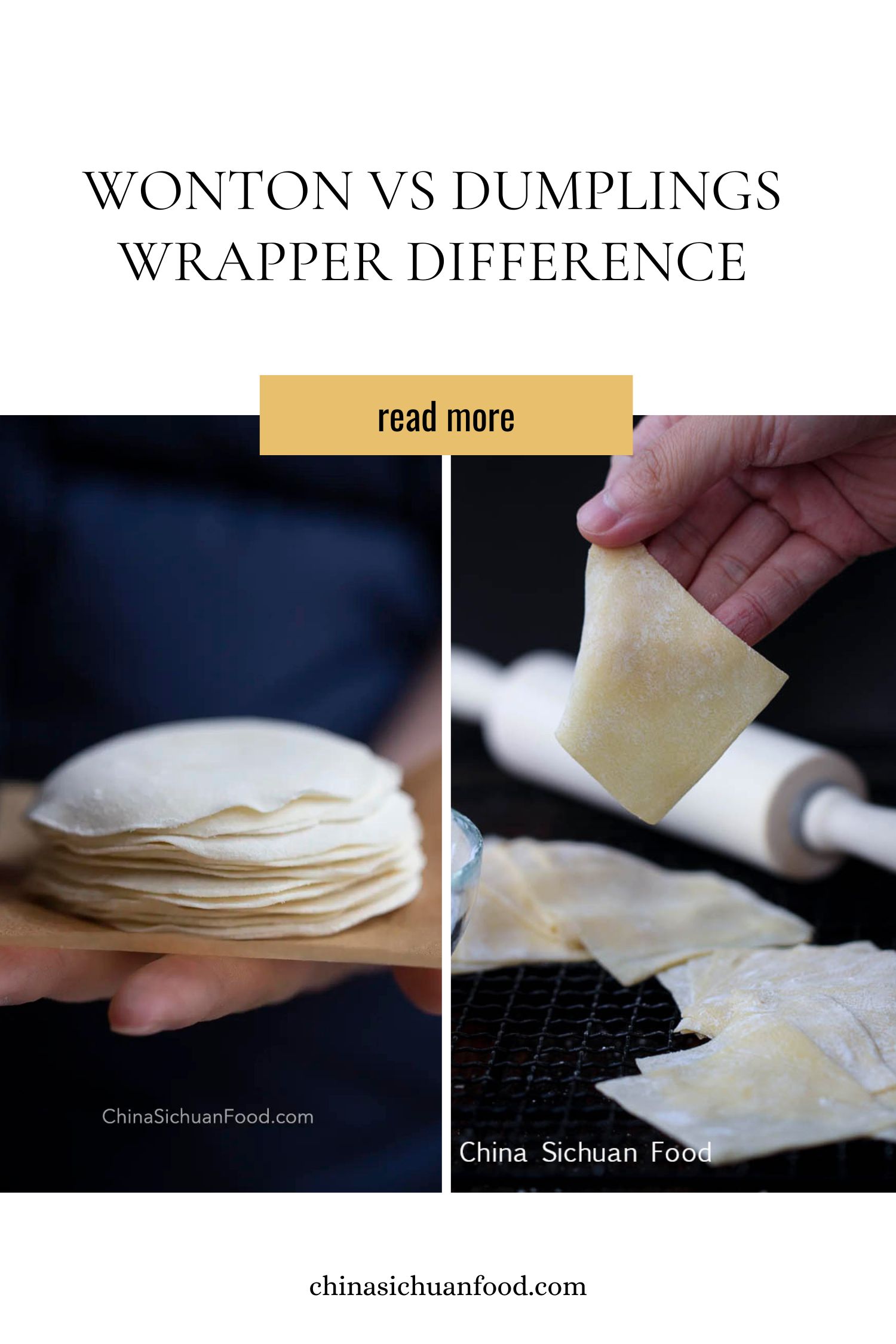 wontons vs dumplings vs potstickers|chinasichuanfood.com