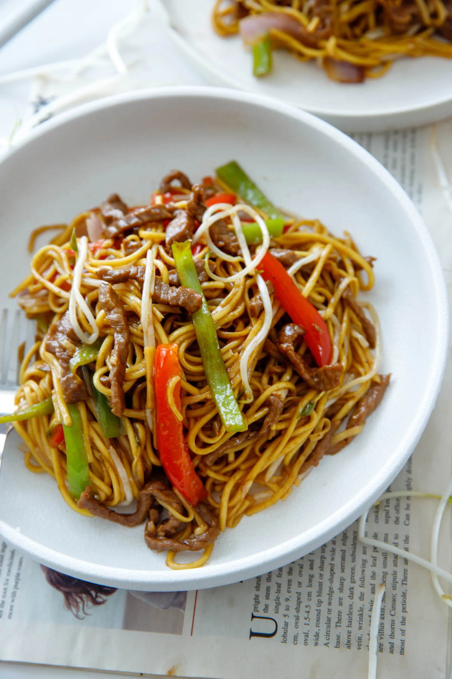 beef chow mein|chinasichuanfood.com