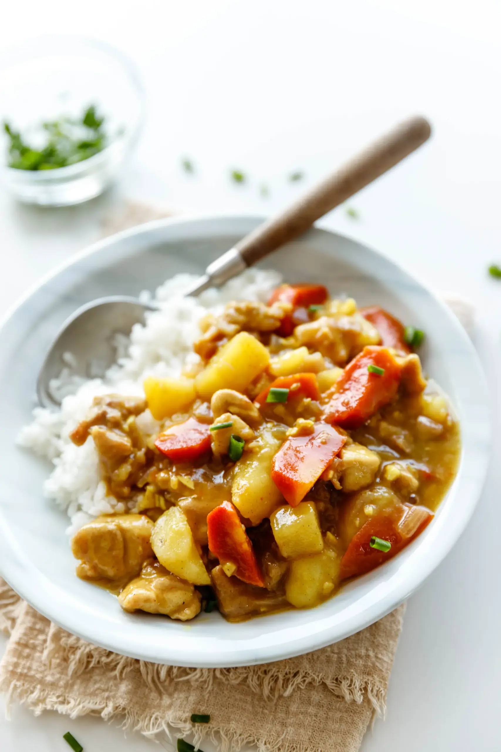 easy Chinese chicken curry|chinasichuanfood.com