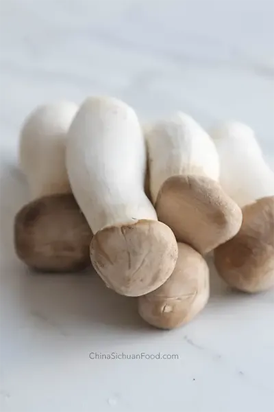 king oyster mushroom|chinasichuanfood.com