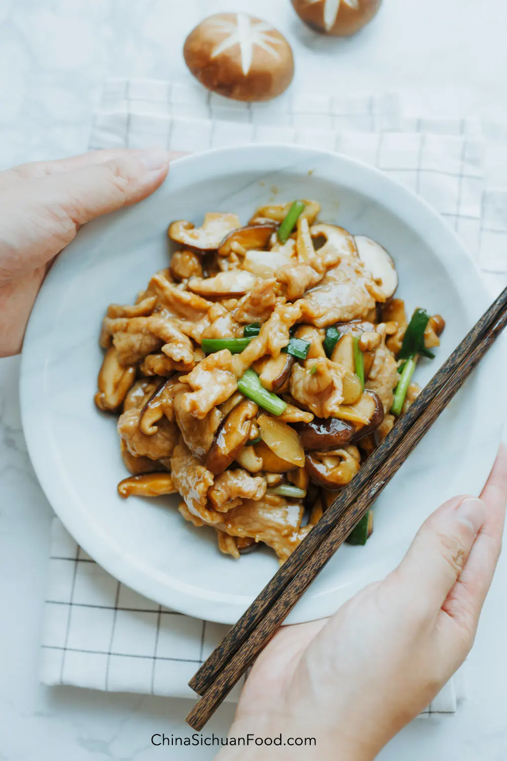 pork and mushroom stir fry|chinasichuanfood.com